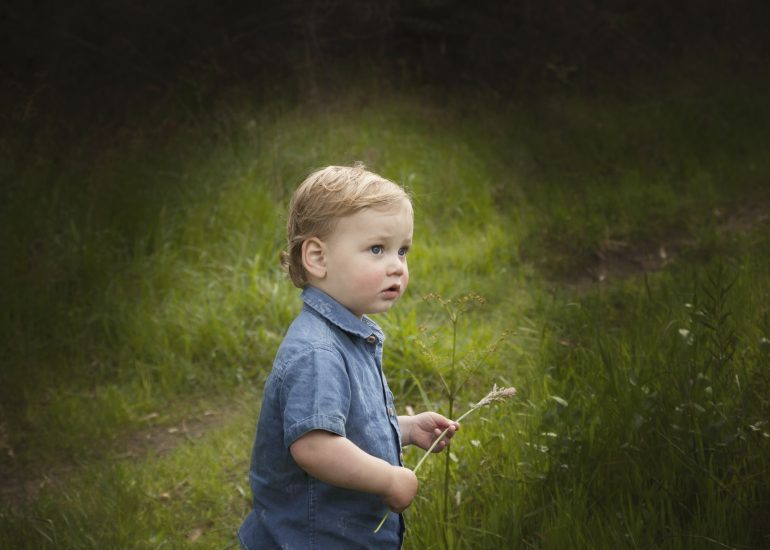 boy holding stick in green field